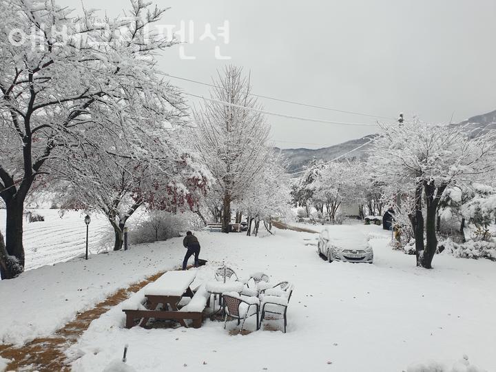 에버그린펜션 사진 3