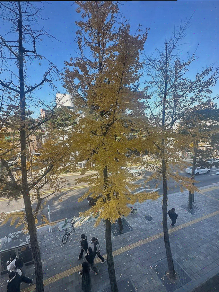  신당동의 신뢰를 주는 미용실, 에이바헤어 약수역점