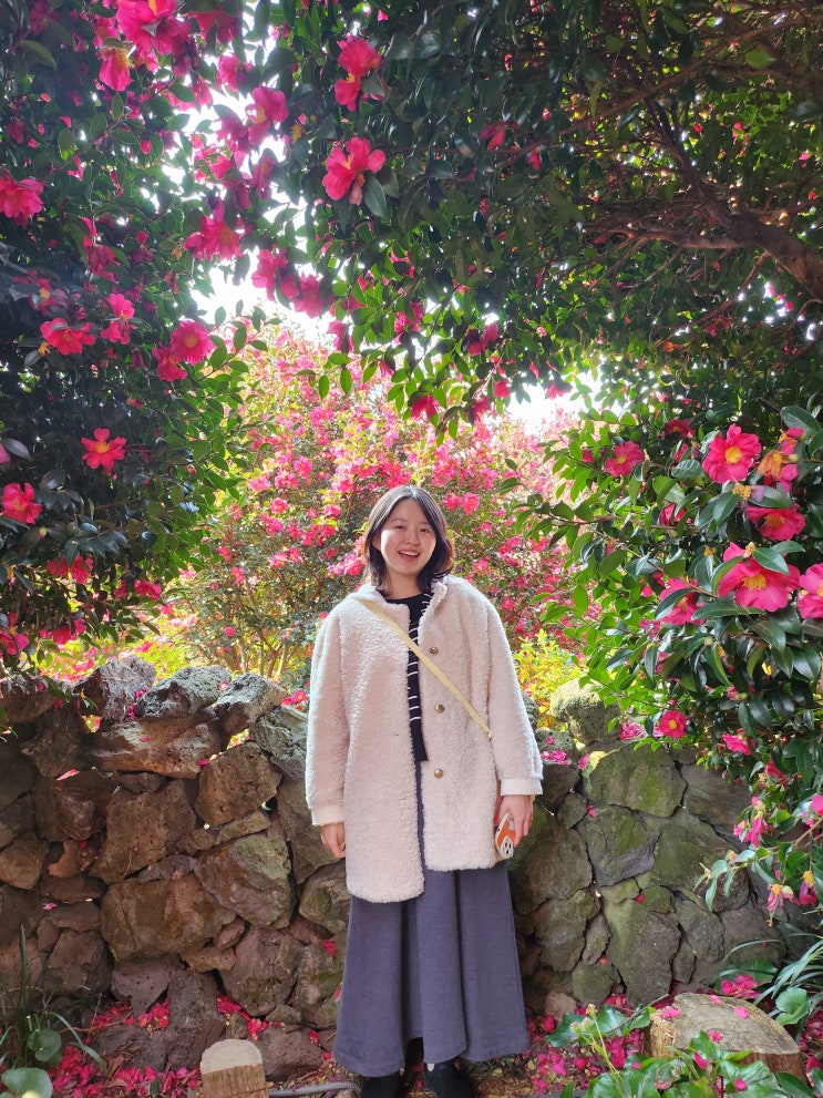  제주도 • 몰고랑몸국, 제주동백수목원, 천지연폭포