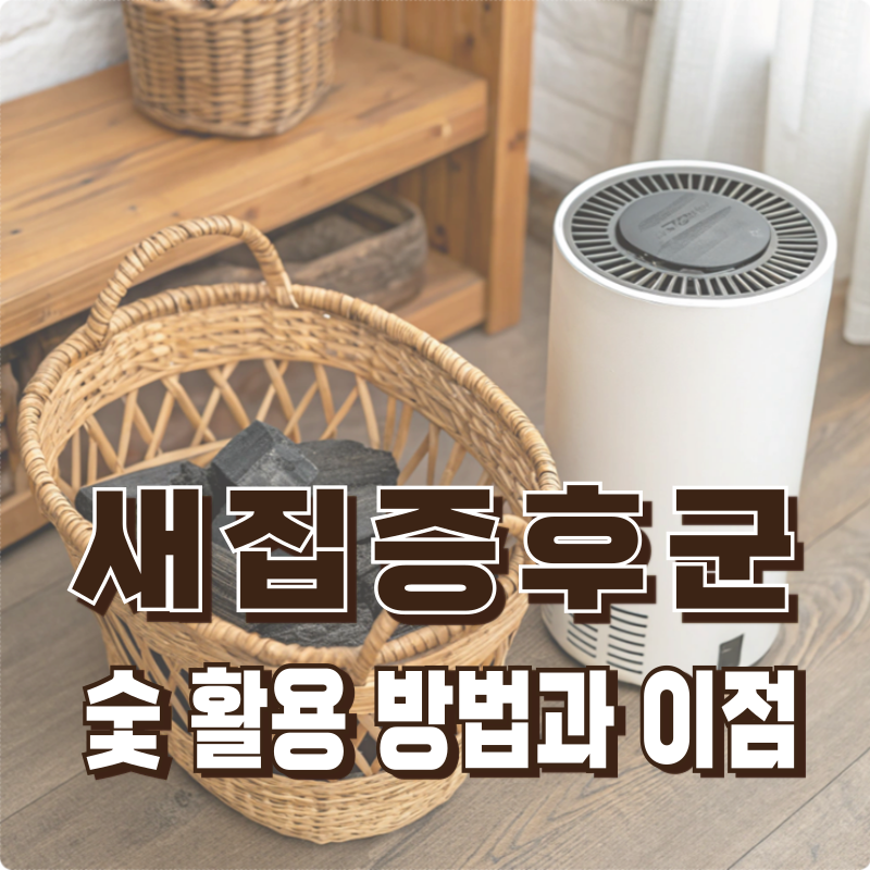 새집증후군 숯 활용해서 셀프로 하는 방법과 이점