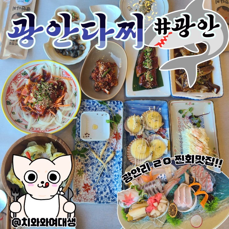  광안리 횟집 광안다찌 민락동 맛집 재방문