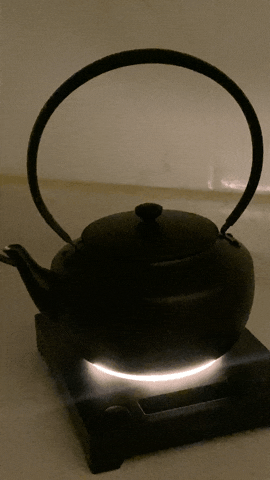 [발뮤다 문케틀] BALMUDA moonkettle 전기포트 솔직 사용후기(+ 단점, 사용영상)