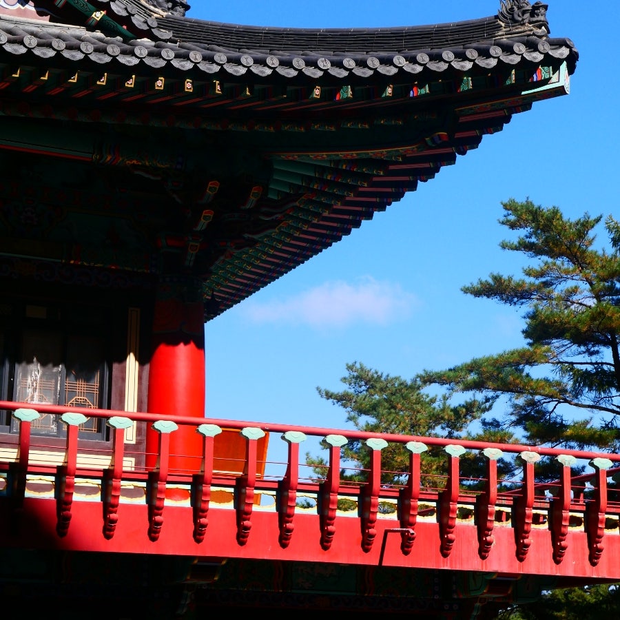 순라황토펜션 사진 3