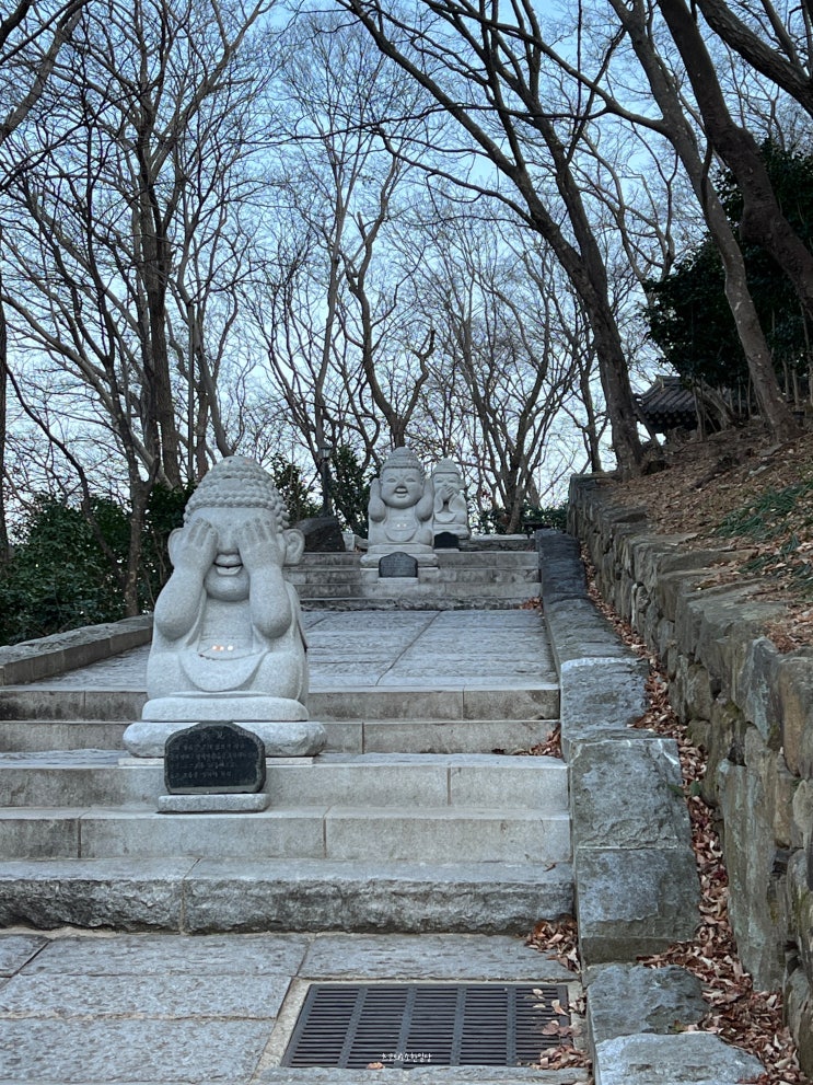  여수 가볼만한곳 향일암 (주차장이용)