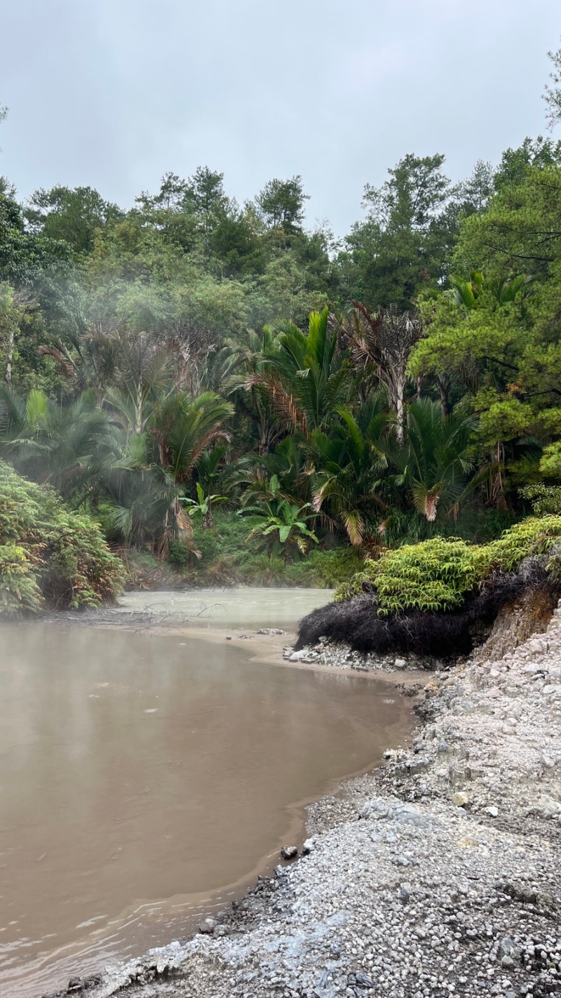 🇮🇩250122 인도네시아 4 #마나도 4 #토모혼 2 <혐오주의>토모혼 전통 시장, 와루가, 투밈페라스 폭포, Sate Ragey  Anugerah, Hot spring : 네이버 블로그