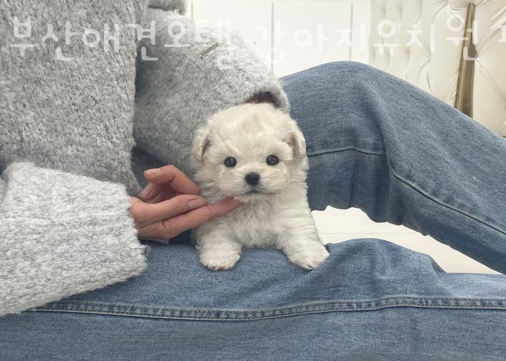 사진 9