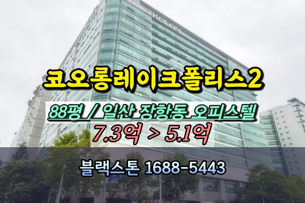  코오롱레이크폴리스2차 경매 88평 일산고급오피스텔