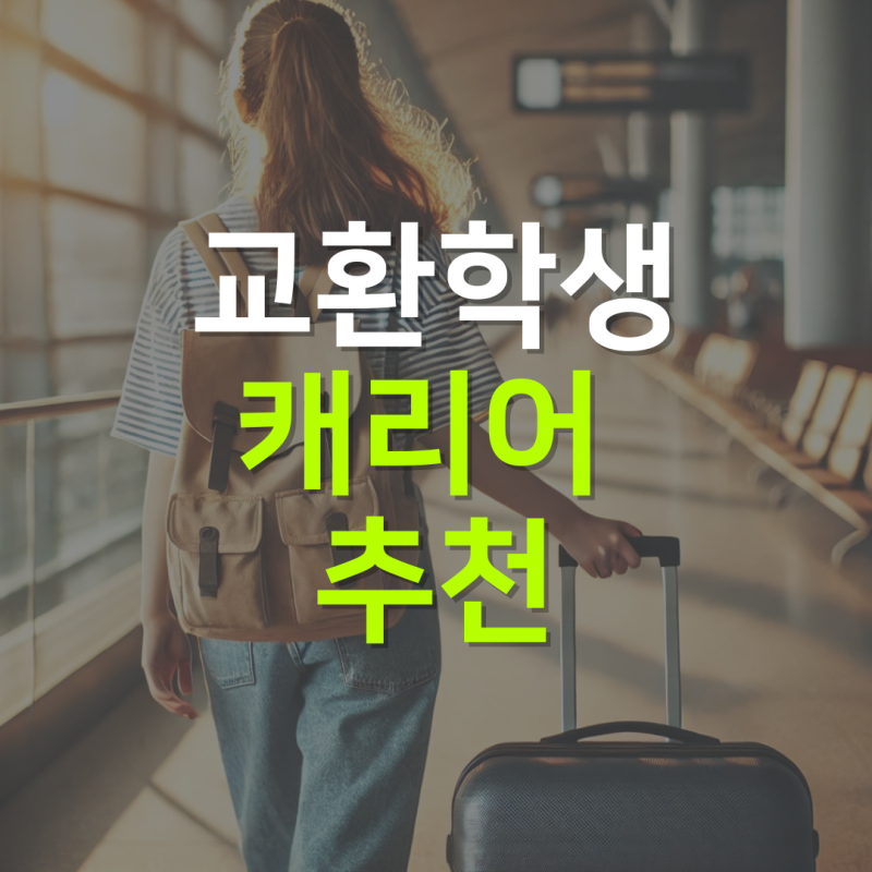 교환학생 캐리어 추천 / 28인치 24인치 20인치 | 캐리어 배송 꿀팁