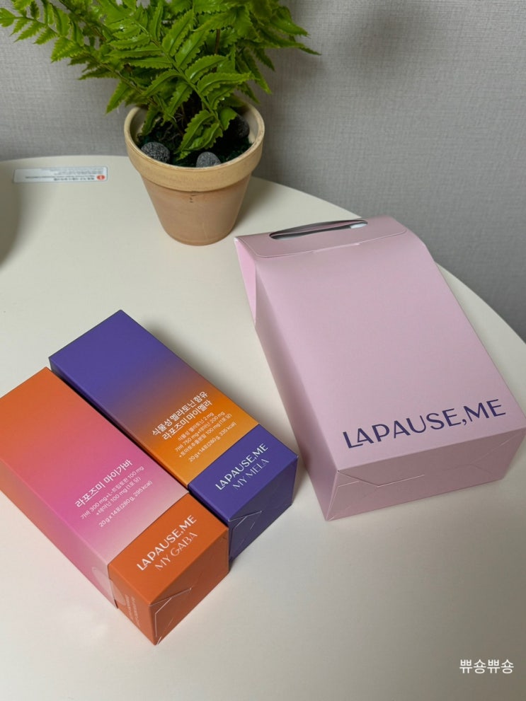  설선물추천 휴식 건강을 담은 라포즈미