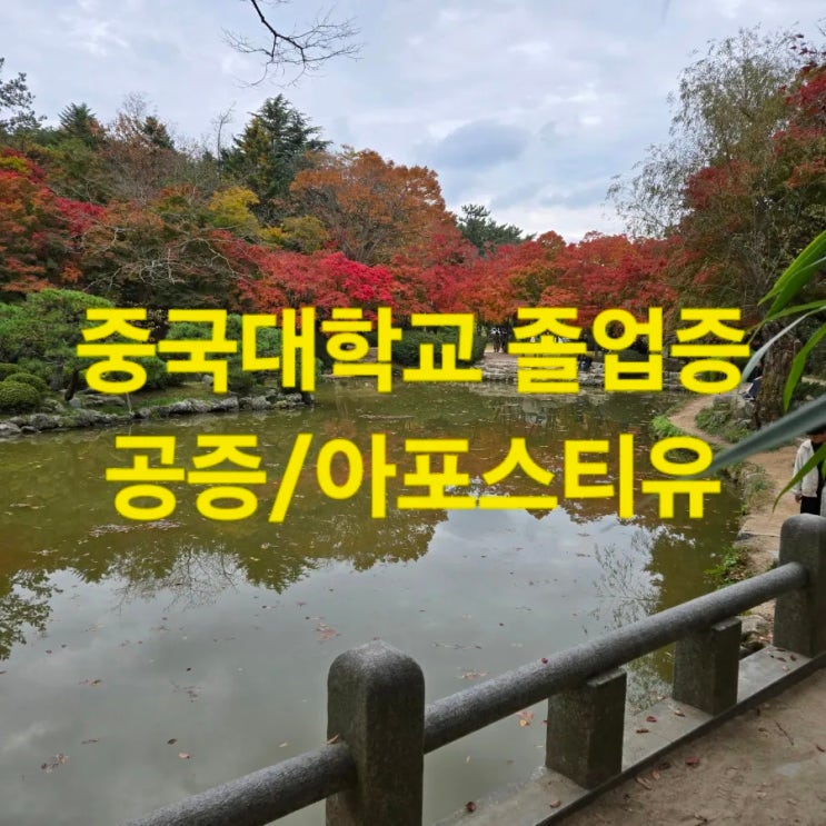  교육청 제출 중국학력증명 아포스티유 확인