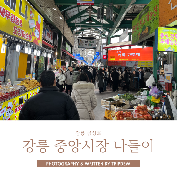  강릉 현지인 중앙시장 나들이