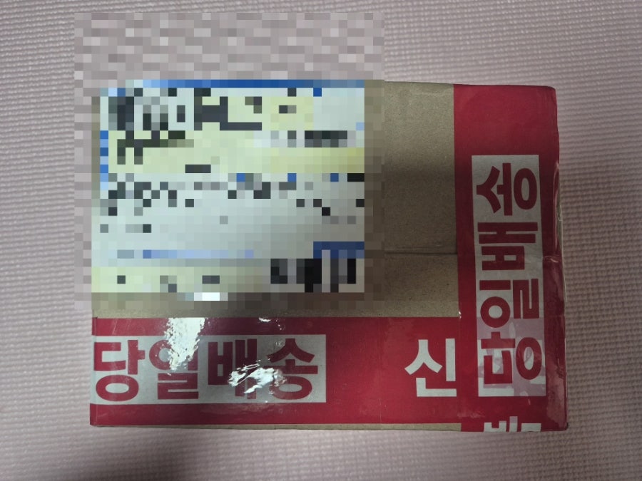 플레지르 사진 5