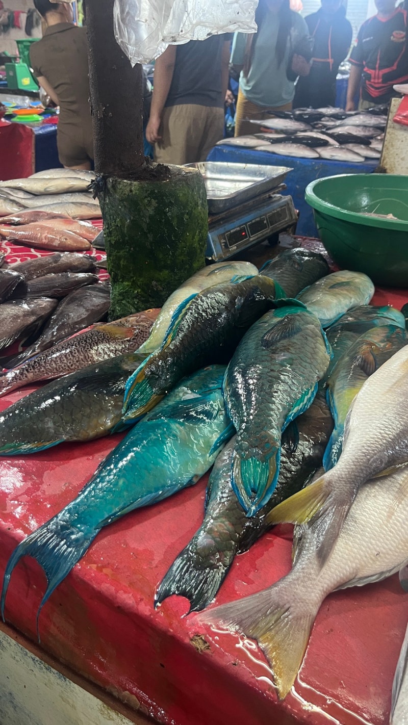 🇮🇩250122 인도네시아 4 #마나도 4 #토모혼 2 <혐오주의>토모혼 전통 시장, 와루가, 투밈페라스 폭포, Sate Ragey  Anugerah, Hot spring : 네이버 블로그