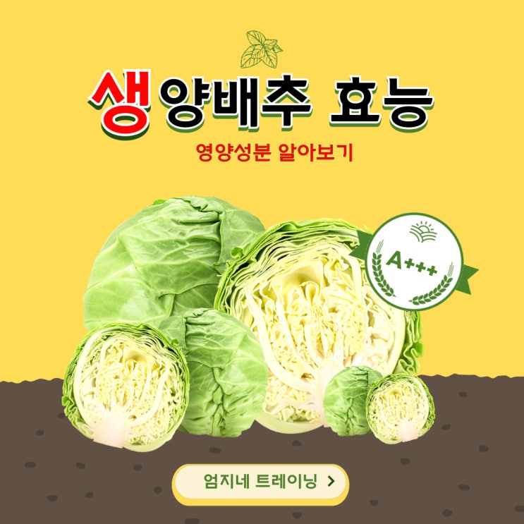  생양배추 효능과 칼로리 다이어트에 최적인 건강식