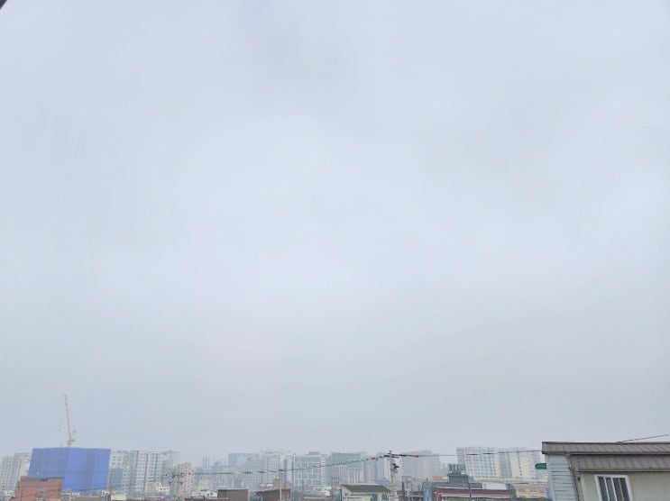  사흘째 미세먼지, 안녕하신가요?