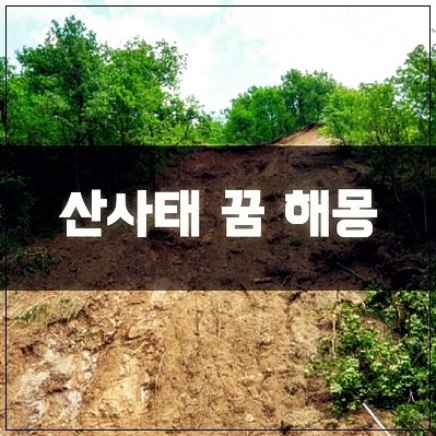 산사태 꿈 해몽 산사태 나는 꿈 목격하는 꿈 큰비로 산사태 일어나는 꿈 도망치는 꿈 산사태....