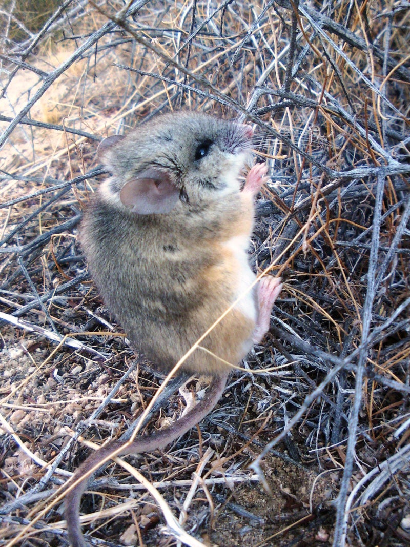 서울대공원 - 서울대공원 added a new photo., image size:800x1067