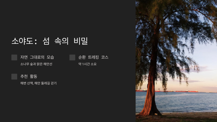  인천에서 꼭 가봐야 할 비밀 장소 추천