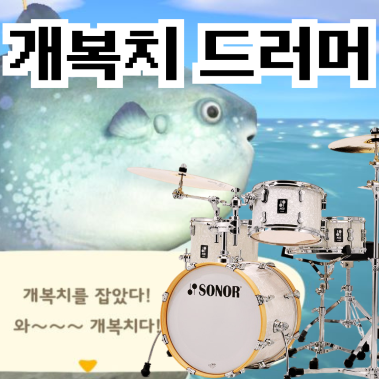  부산 드럼 학원 15회차 레슨 후기 (개복치 드러머)