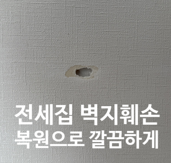 전세집 벽지 훼손 뜯김 복원으로 깔끔하게