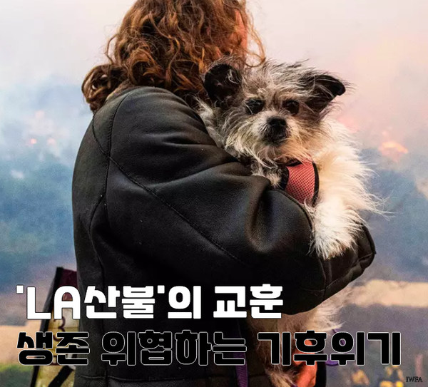 동물∙사람의 일상을 집어삼킨 ‘LA<b>산불</b>’이 우리에게 준 교훈