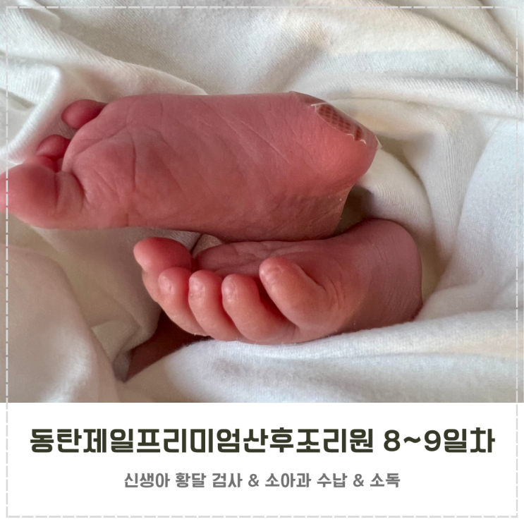  동탄제일프리미엄산후조리원 8~9일차 일기 생후 10~11일