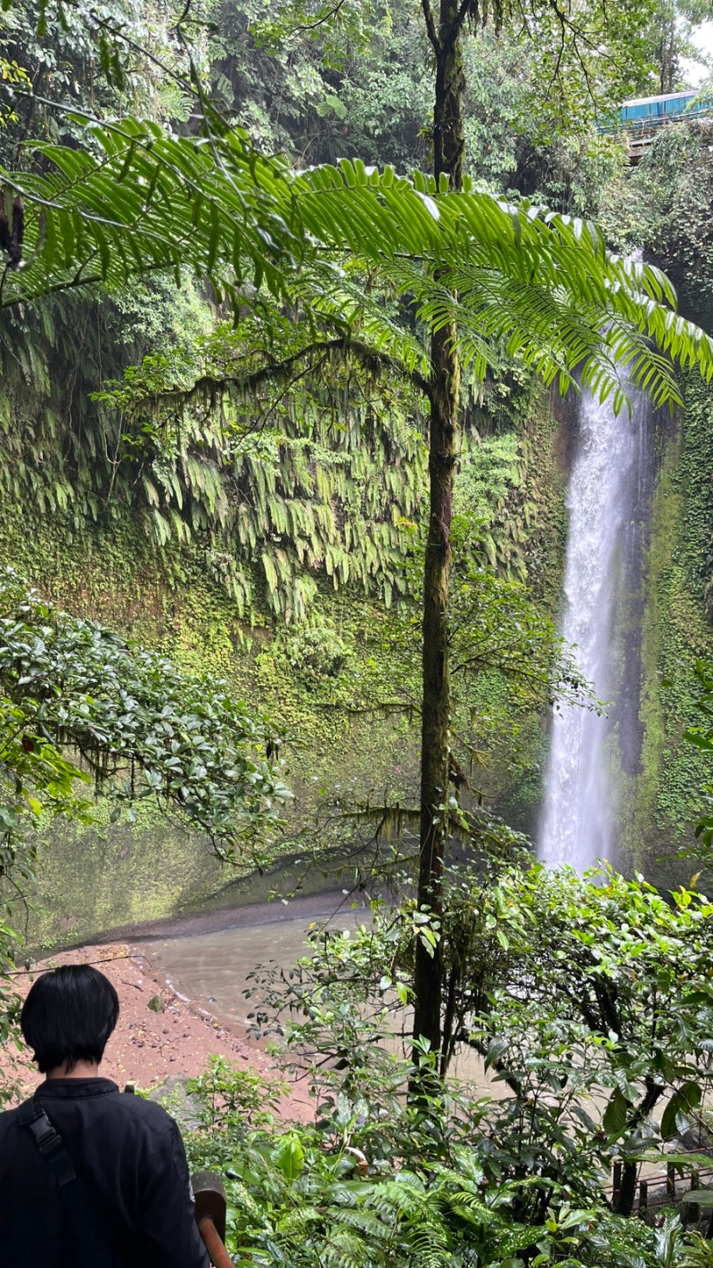 🇮🇩250122 인도네시아 4 #마나도 4 #토모혼 2 <혐오주의>토모혼 전통 시장, 와루가, 투밈페라스 폭포, Sate Ragey  Anugerah, Hot spring : 네이버 블로그