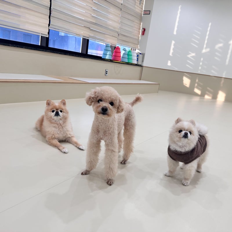 사진 5