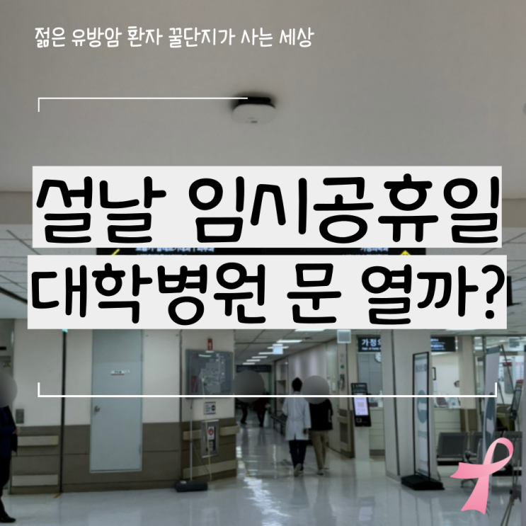  1월 27일 설날 임시공휴일 병원 진료 검사 여부 문의