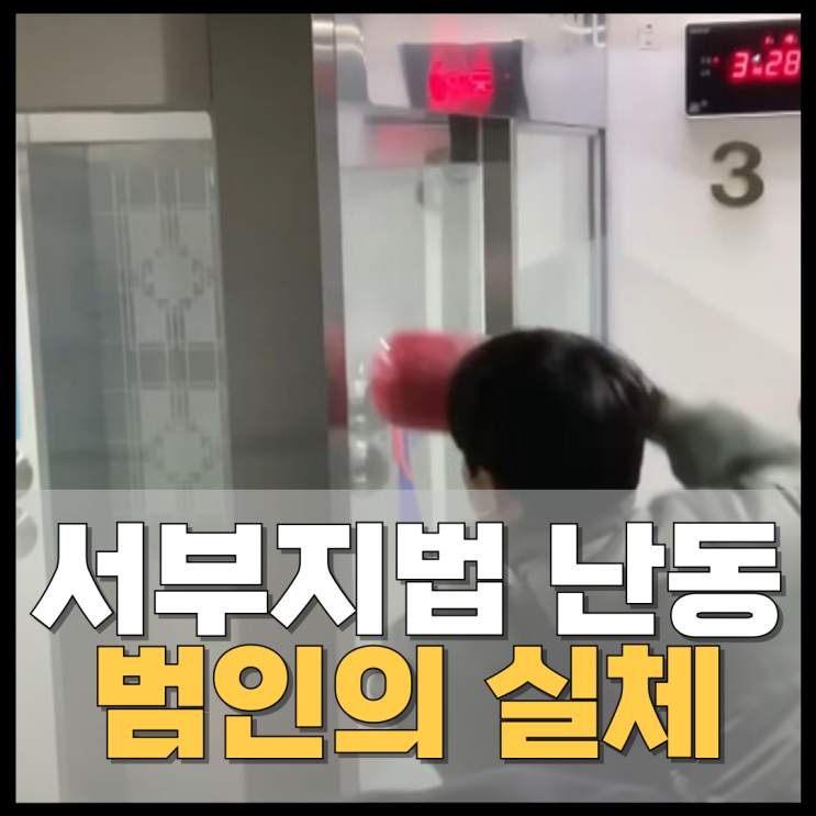 2030 청년층의 <b>서부지법 난동</b> 사건, 특정 집단의 결집인가?