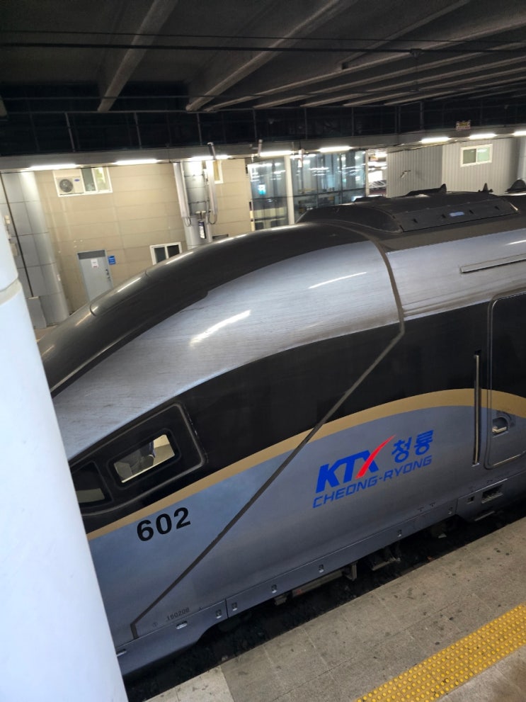  부산-대전 KTX-청룡 36,200원 vs SRT 32,600원, 새 기차 첫 탑승 후기! 넓은 좌석·무선충전 완벽 리뷰