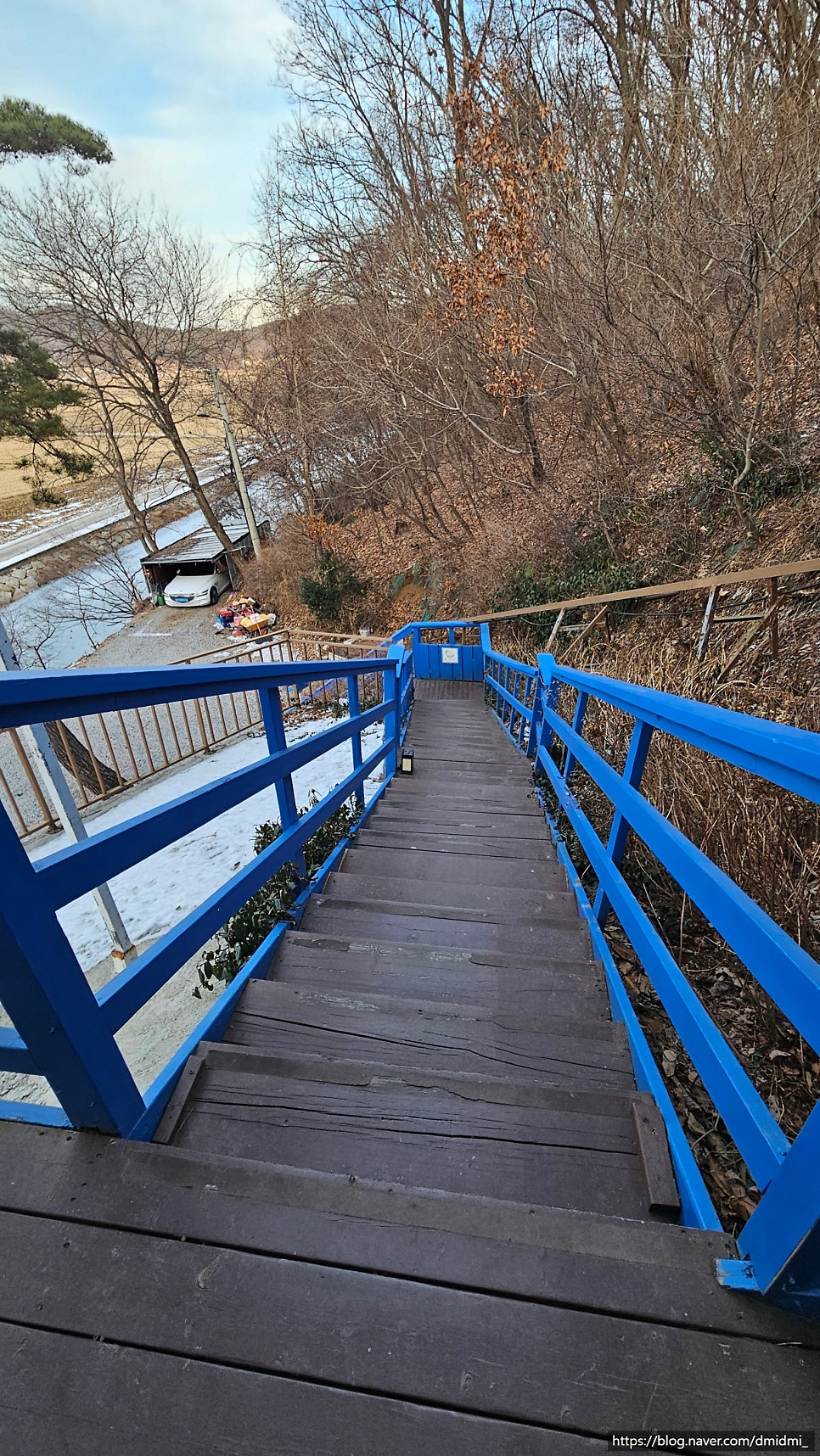 야생화카페펜션 사진 2