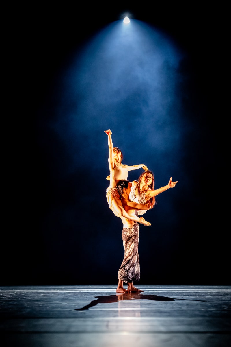 심층리뷰] 그럼에도 춤과 삶은 계속된다, 김복희 무용단 우수레퍼토리 시리즈 \u003c피의 결혼\u003e : 네이버 블로그, image size:800x1200