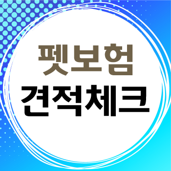  2024 펫보험 비교 어떻게 해야 좋을까? 비교 시 확인하면 좋은 내용 알아보세요
