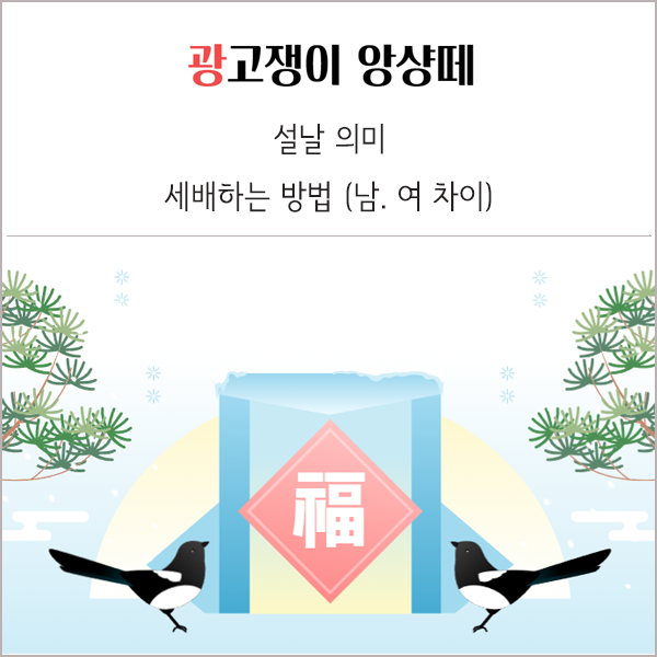  설날 세배하는 방법 남자 여자 손위치