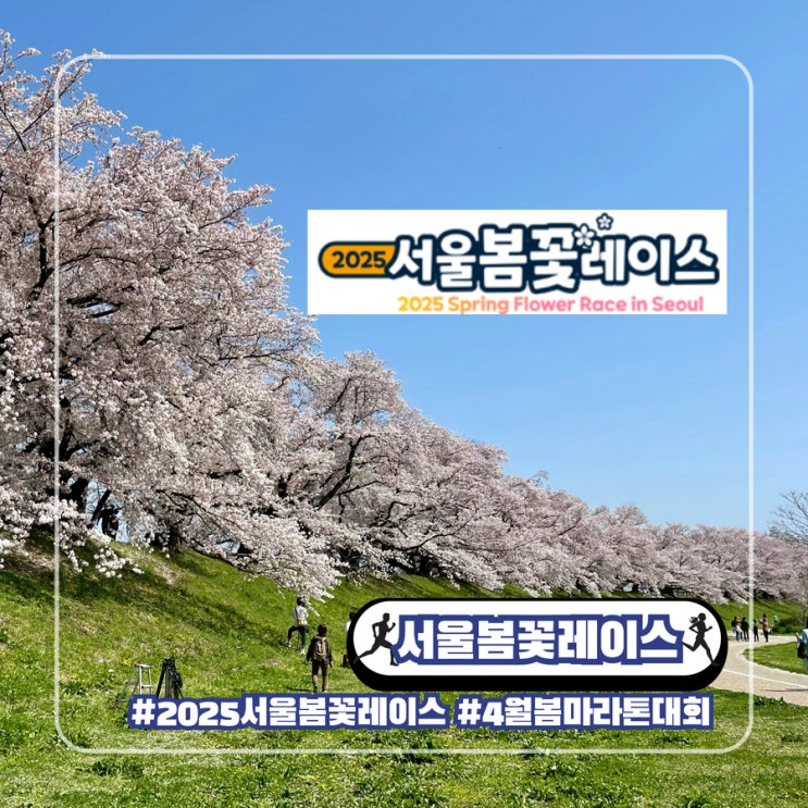  2025 서울봄꽃레이스 4월 봄 마라톤 대회 코스 일정 주차 기념품