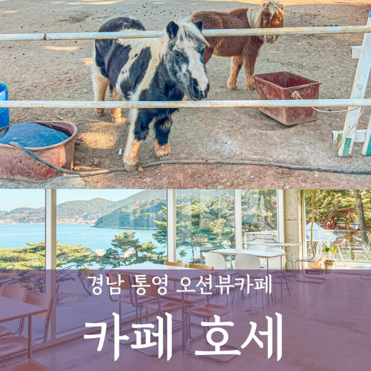  [통영여행] 대형카페 '호세' 오션뷰 말먹이주기 체험 내돈내산 !