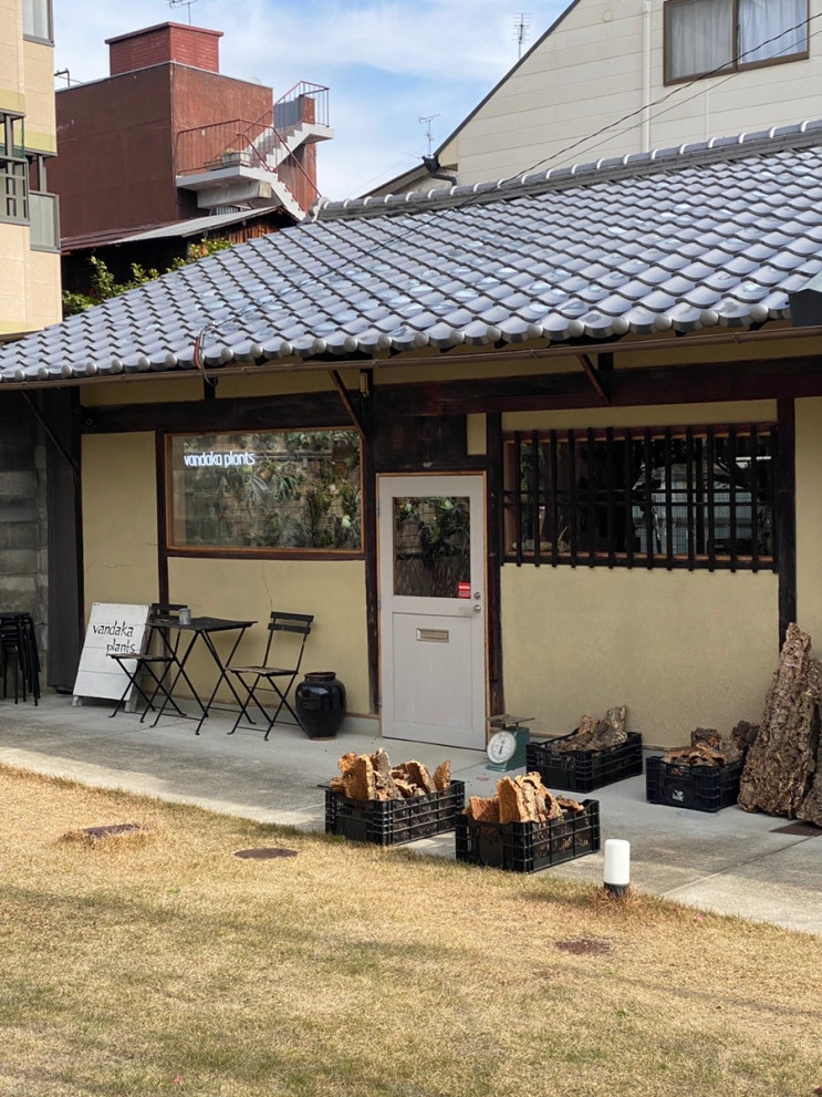  [일본]반다카 플랜츠(vandaka plants)