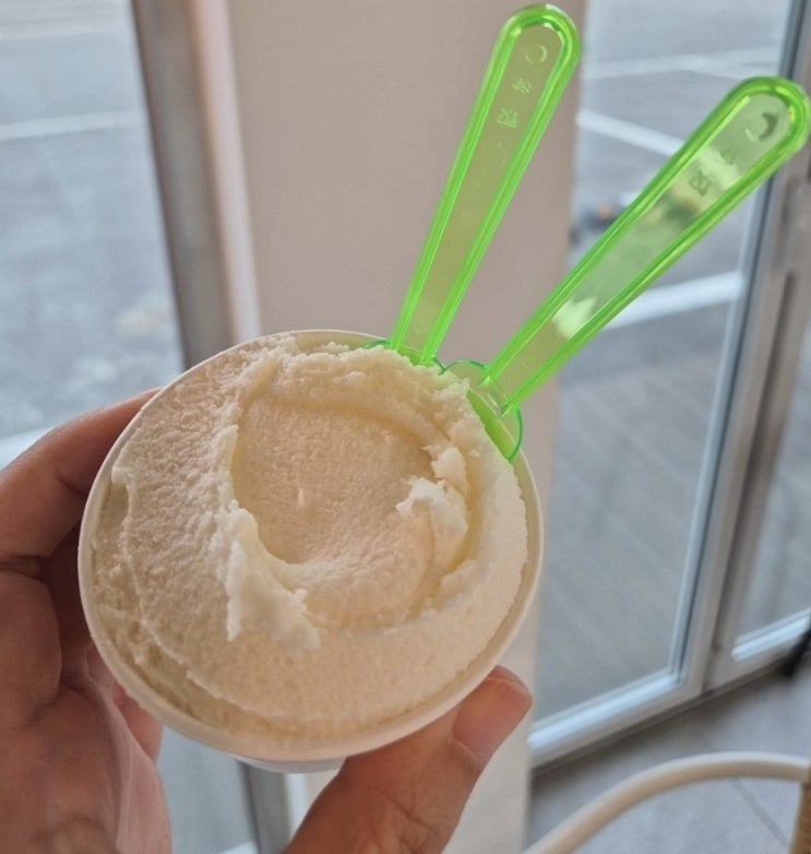  강릉 순두부 젤라또