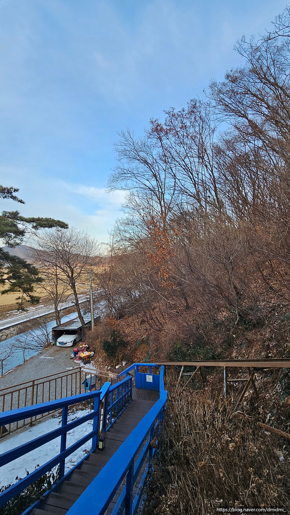 야생화카페펜션 사진 3