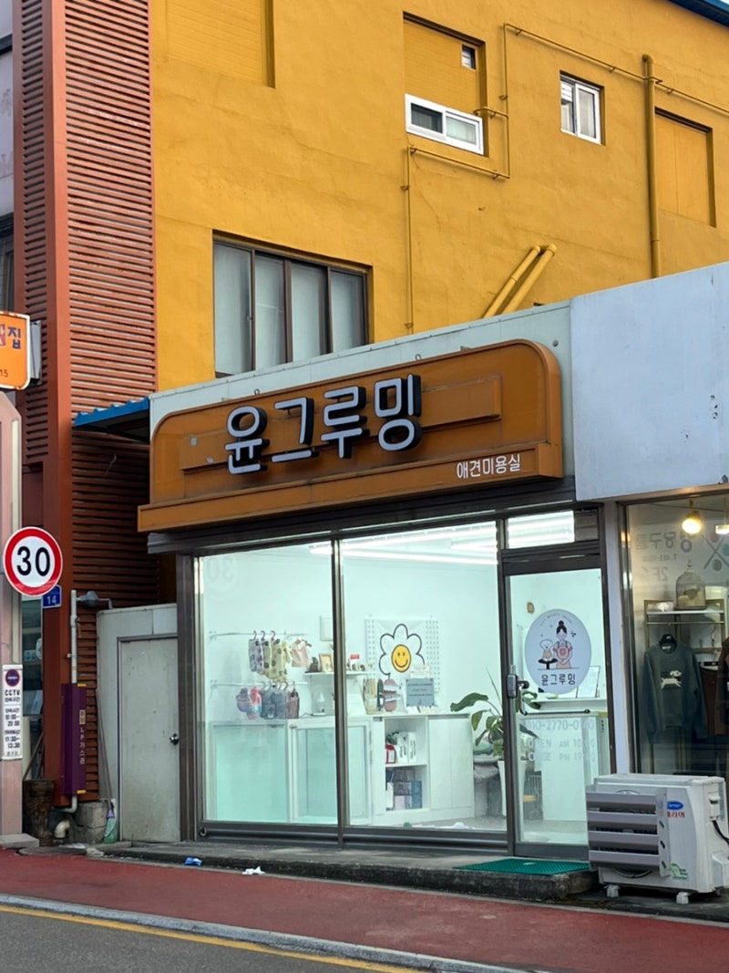 사진 8