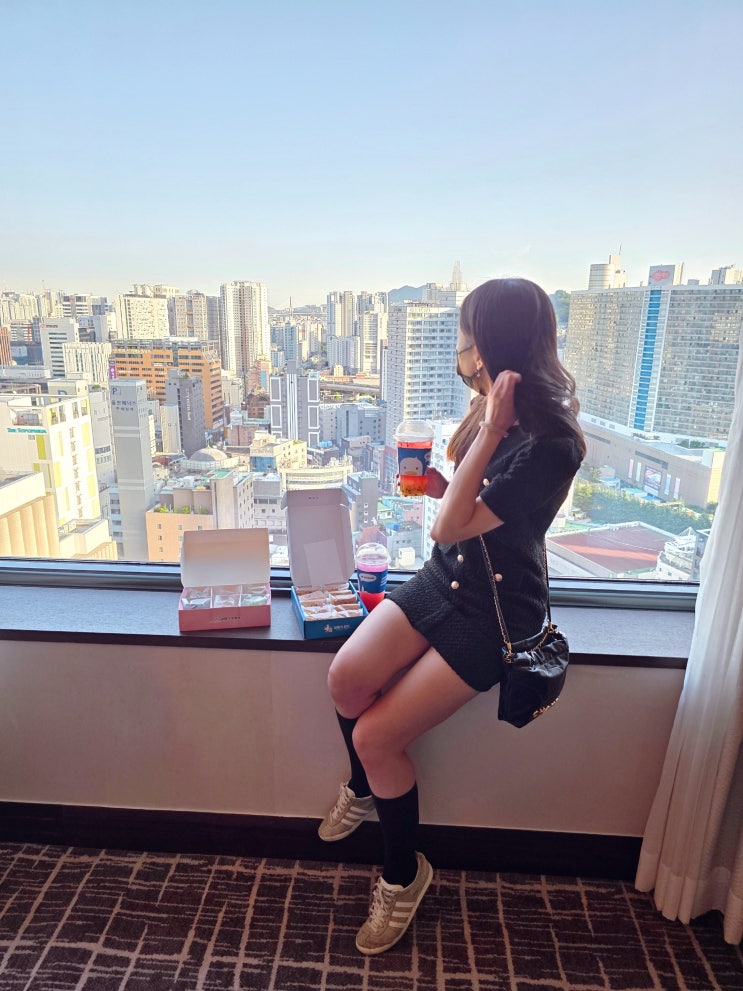  부산역 기념품샵 부산 디저트 갈매기샌드 부산 먹거리