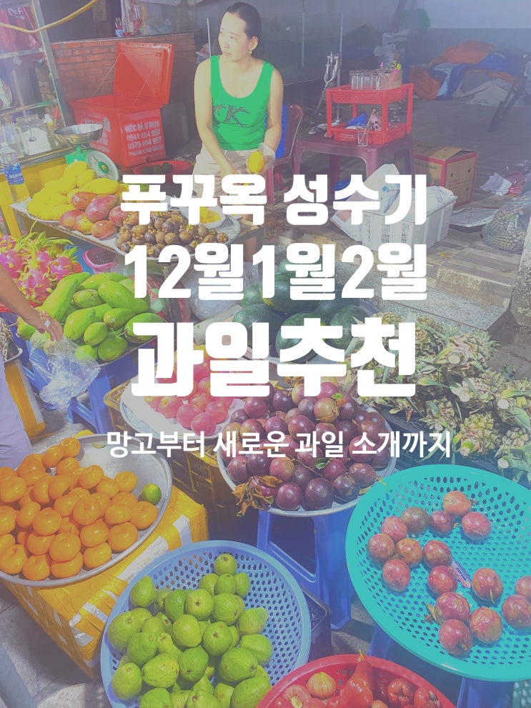  푸꾸옥 12월 1월 2월 과일 추천 망고 수박 용과 두리안 등 가격 +새로운 과일소개까지