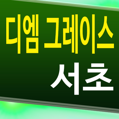  디엠 그레이스 서초 즉시입주 소형아파트 이수역 투룸 오피스텔 분양