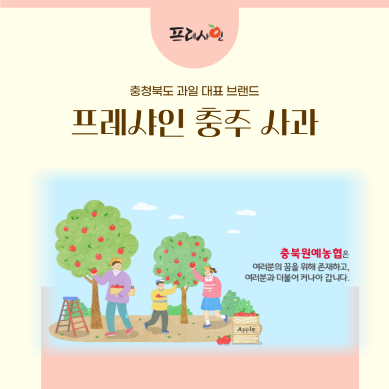 프레샤인 충주 사과