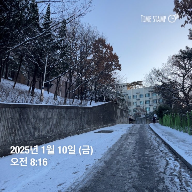  약대 6학년 병원 필수실습 기록 : 의약정보약물이상반응 | 골다공증, 비만, 부신피질 부전, 고혈압, 협심증