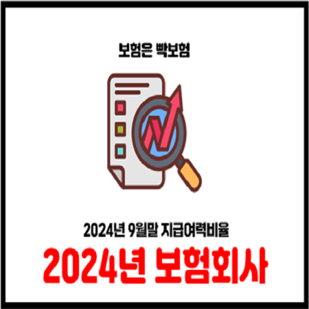  2024년 9월말 기준 보험회사 지급여력비율 현황