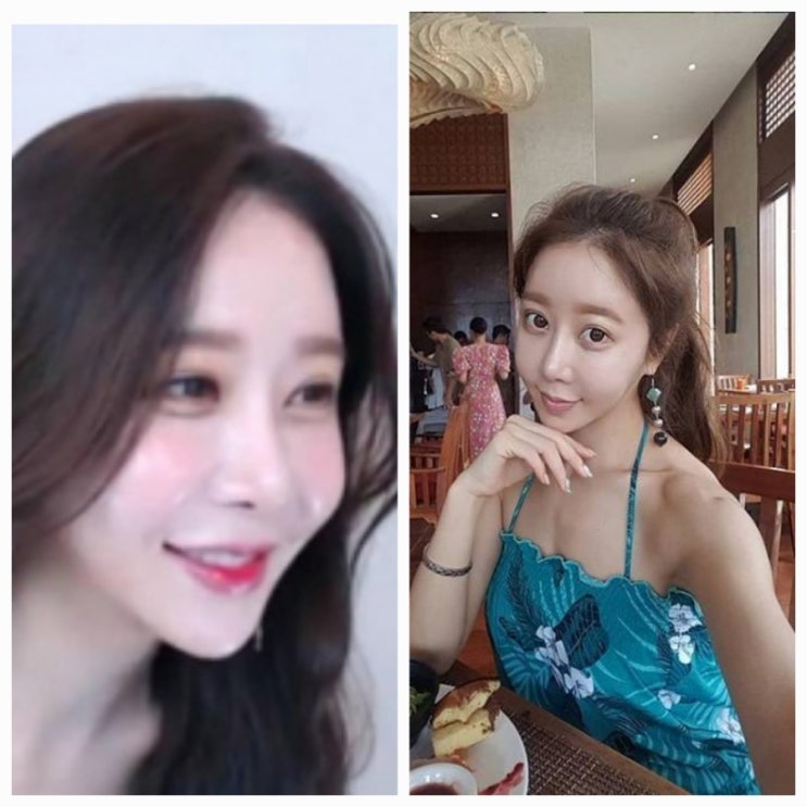하나경 상간녀 소송 2심 기각 1500만원 지급해야 근황 하나경 상간녀 소송 2심 기각 1500만원 지급해야 근황