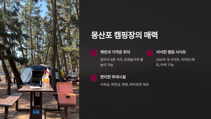  태안 몽산포 캠핑장: 해변과 함께하는 완벽 가족 캠핑
