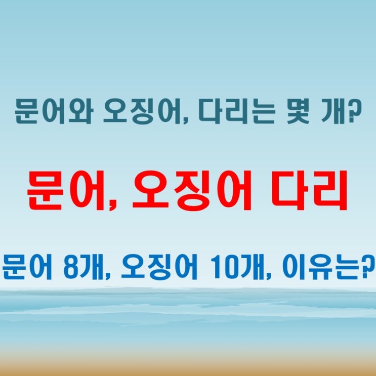  문어다리갯수와 오징어다리개수의 차이, 알고 보면 재미있는 바다 생물 이야기